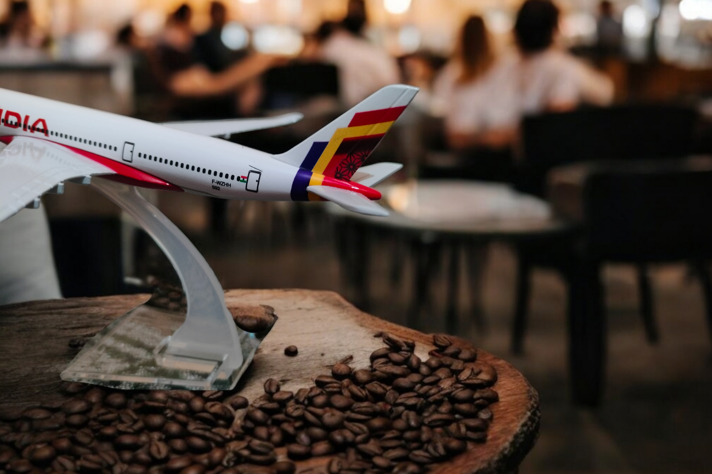 Air India Aircraft Model