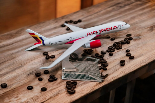 Air India Aircraft Model