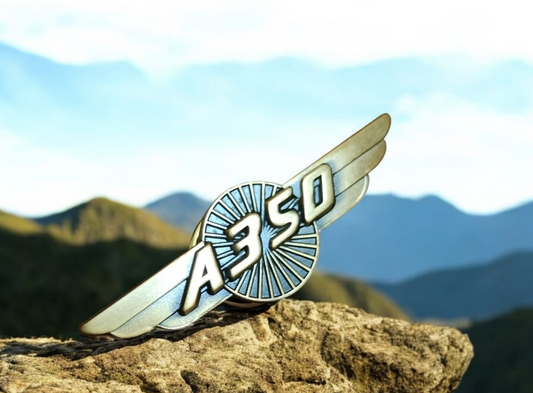 A350 pin badge