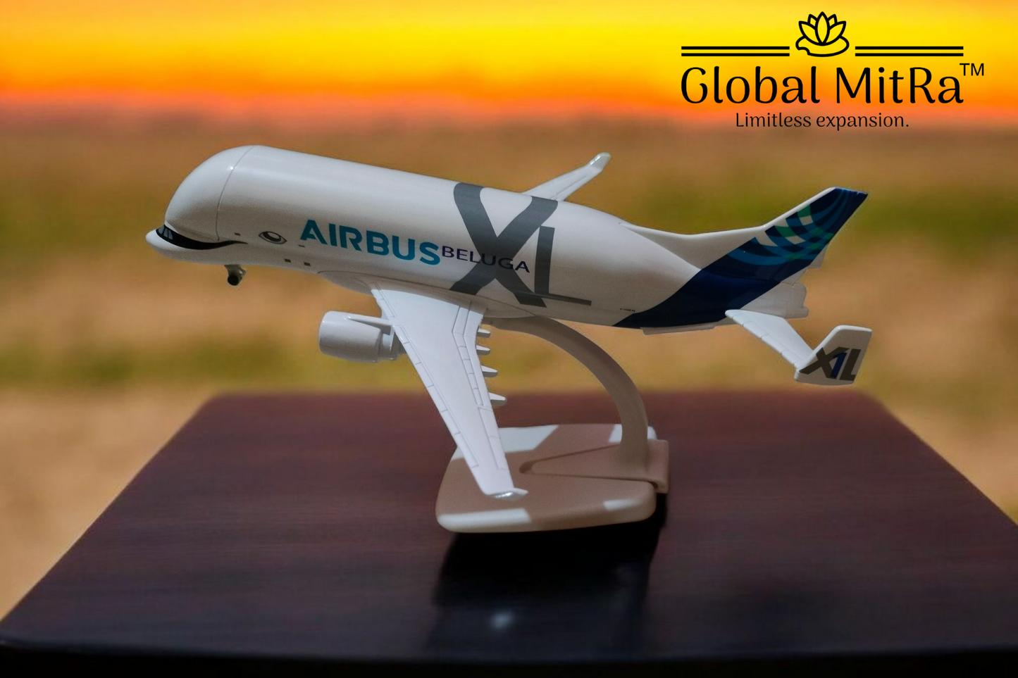 Airbus Beluga XL Model – 20cm Premium Display Aircraft | Global MitRa